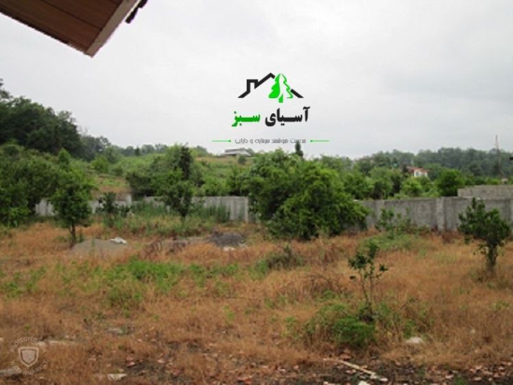 فروش زمین 250 متری،جنگلی جلگه ای، مازندران، سلمانشهر